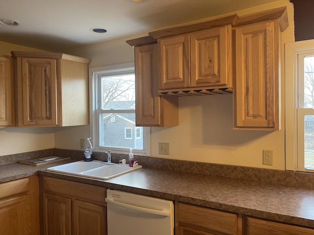 kitchen with sink and dishwasher