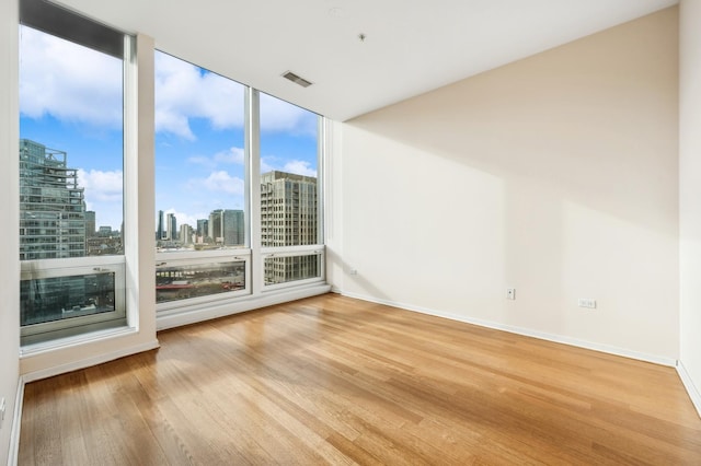 empty room featuring expansive windows and light hardwood / wood-style floors