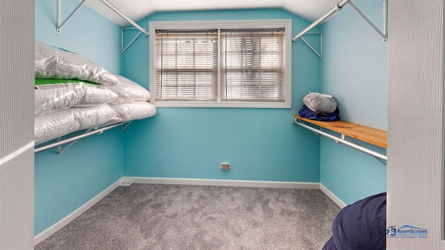 spacious closet with vaulted ceiling and carpet flooring