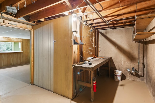 basement with wood walls