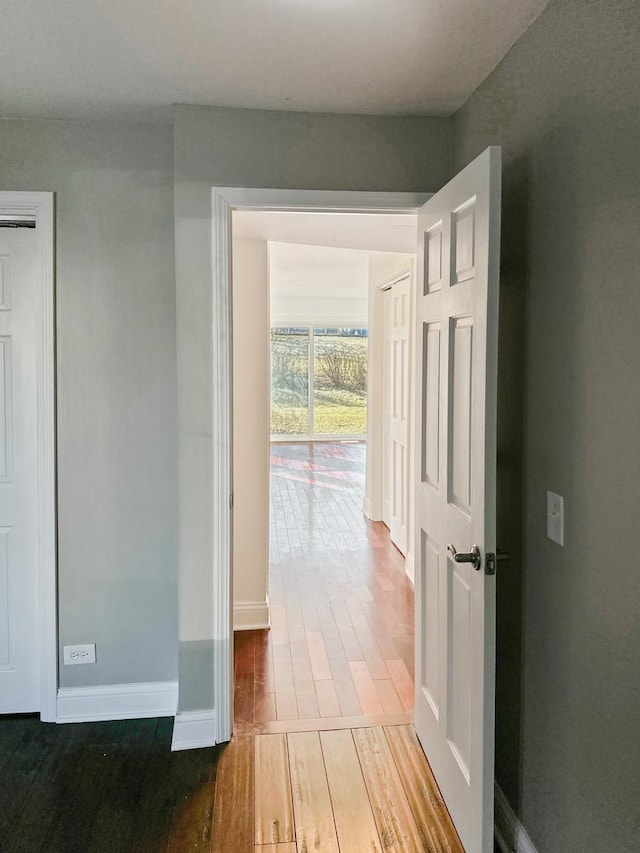 hallway with wood-type flooring