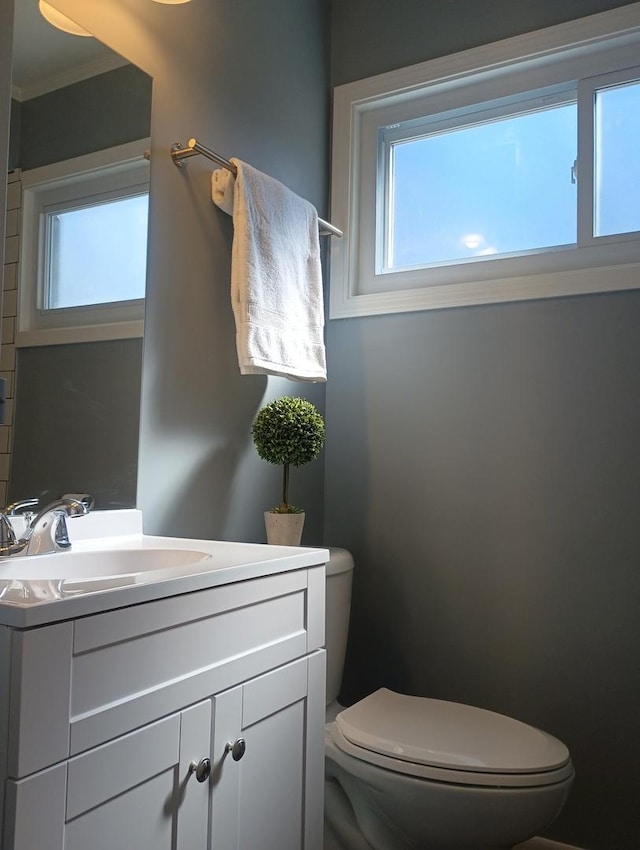 bathroom with toilet and vanity