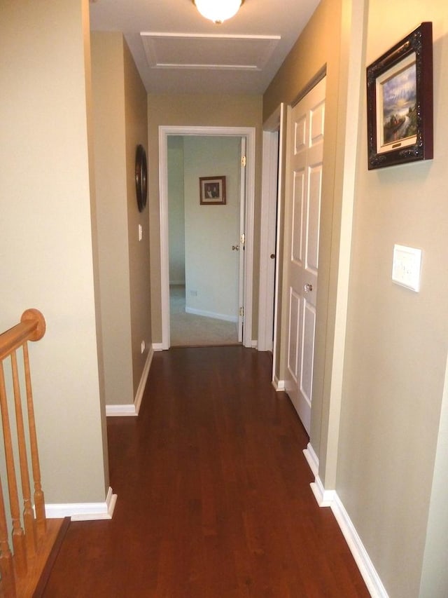 hallway featuring dark hardwood / wood-style flooring