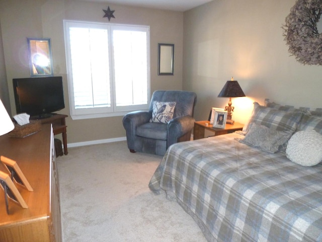 bedroom with carpet floors