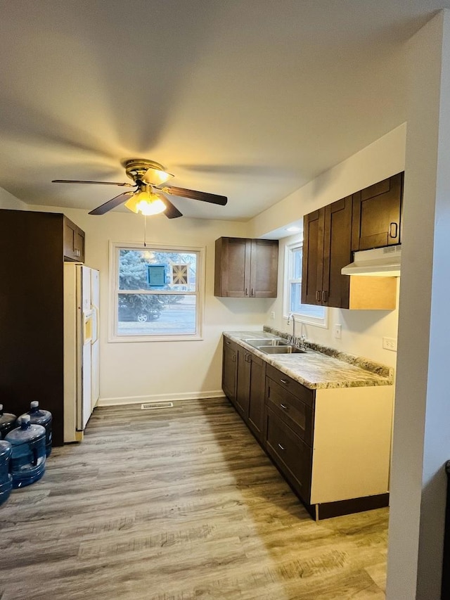 kitchen featuring dark brown cabinetry, sink, white refrigerator with ice dispenser, and light hardwood / wood-style floors