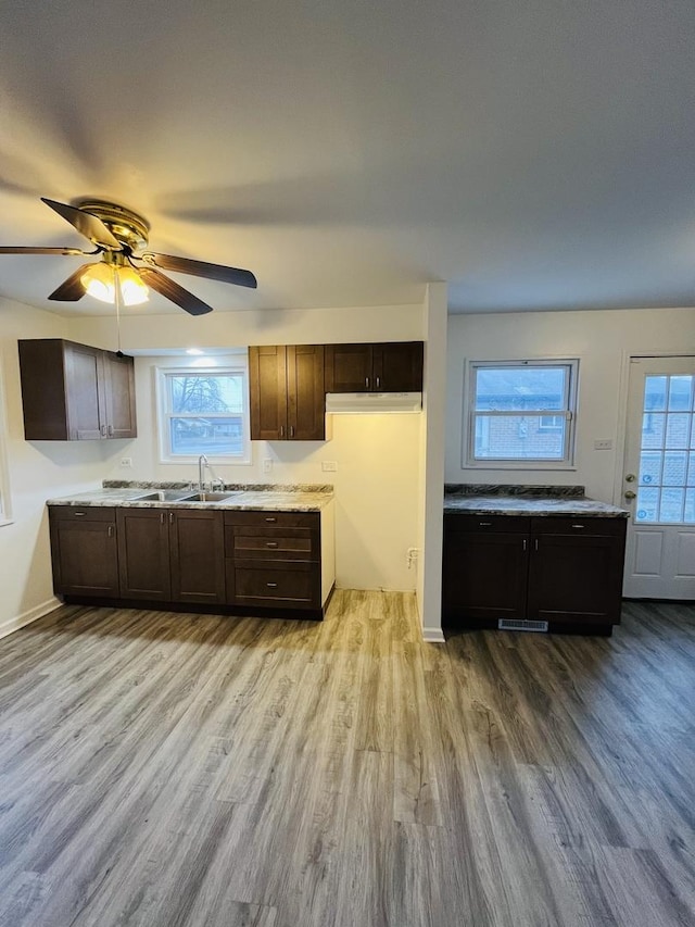 kitchen featuring dark brown cabinets, sink, ceiling fan, and light hardwood / wood-style flooring