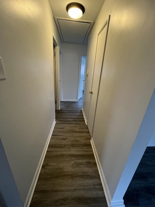 hallway with dark hardwood / wood-style floors