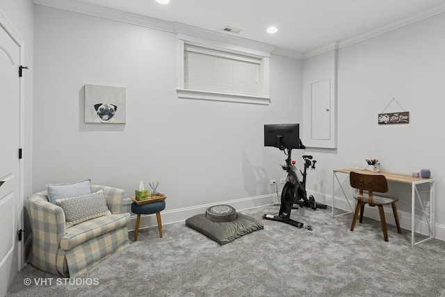 exercise area with ornamental molding and carpet