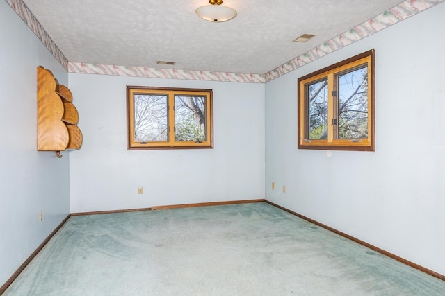 spare room featuring a wealth of natural light, carpet floors, baseboards, and a textured ceiling
