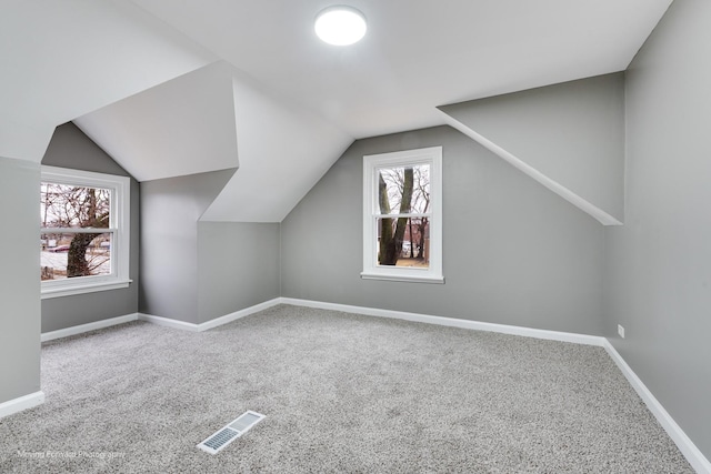 additional living space with vaulted ceiling and carpet floors