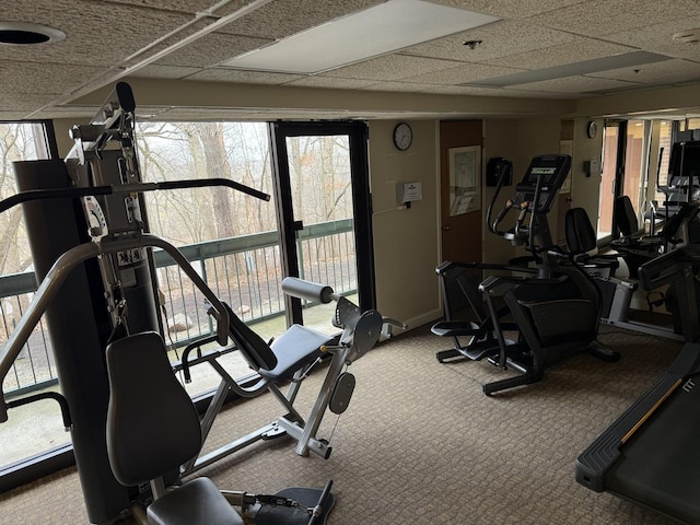 exercise room featuring carpet flooring and a drop ceiling