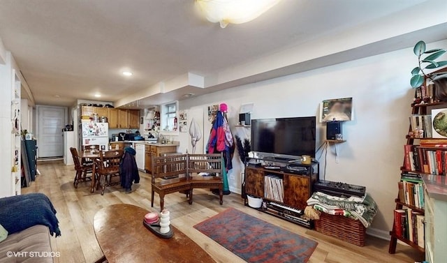 living room featuring light wood-style floors