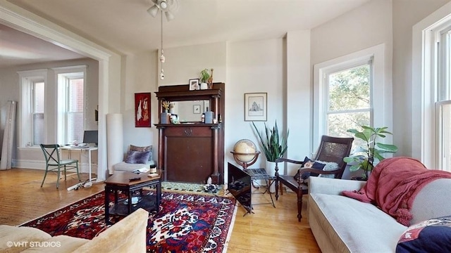 living area with light wood-style flooring and a healthy amount of sunlight