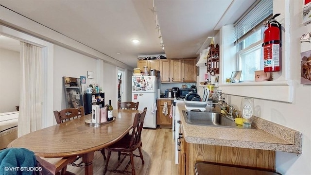 kitchen featuring light countertops, light wood-type flooring, a sink, and freestanding refrigerator