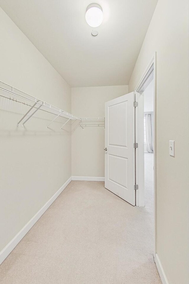 walk in closet featuring carpet floors