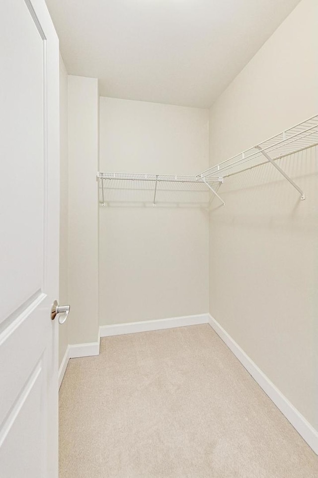 spacious closet featuring light carpet