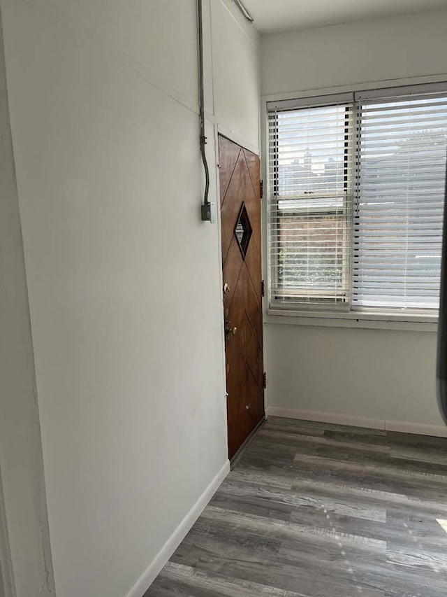 interior space featuring hardwood / wood-style flooring