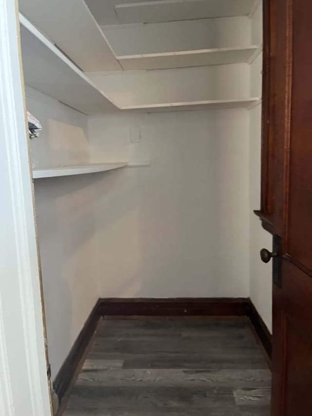 walk in closet featuring dark hardwood / wood-style floors