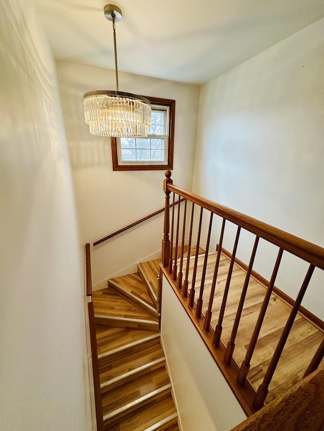 staircase with wood-type flooring