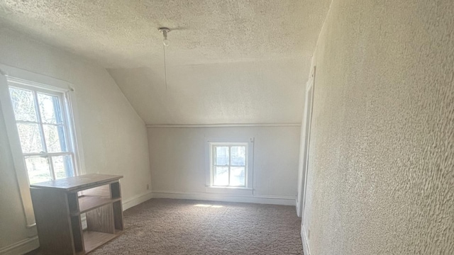 additional living space featuring vaulted ceiling, carpet, and a textured ceiling