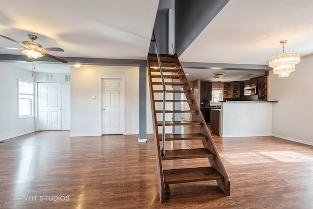 staircase featuring ceiling fan with notable chandelier, plenty of natural light, and hardwood / wood-style floors