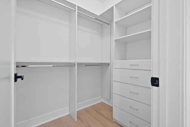 spacious closet with light hardwood / wood-style flooring