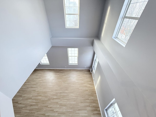 additional living space featuring light hardwood / wood-style flooring