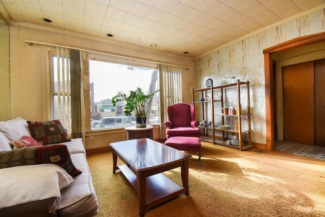 sitting room featuring carpet