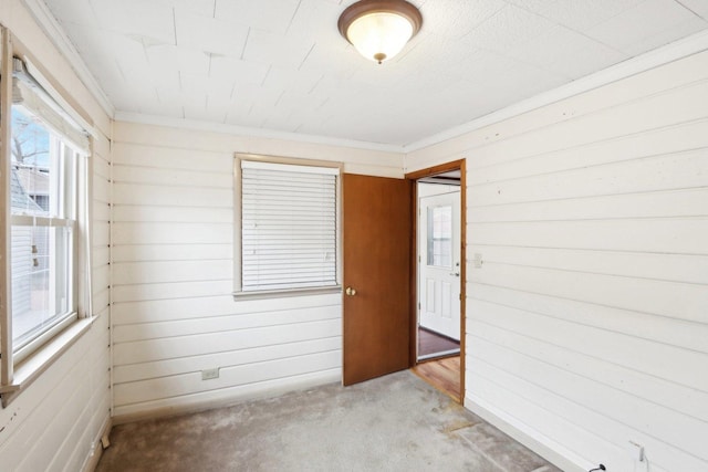 carpeted spare room featuring wooden walls