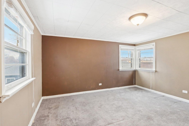 empty room featuring crown molding and carpet flooring