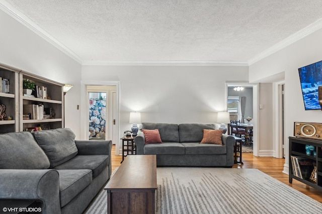 living room featuring ornamental molding, a textured ceiling, and light wood-type flooring