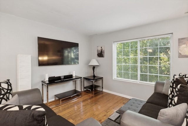 living room with wood-type flooring