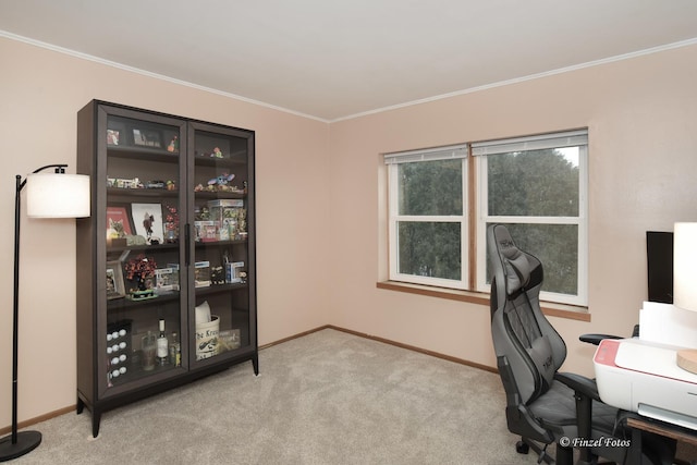 carpeted office featuring ornamental molding