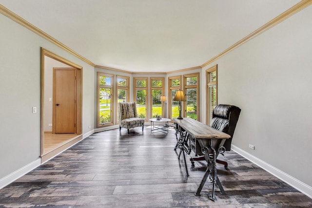 office with ornamental molding and dark hardwood / wood-style flooring