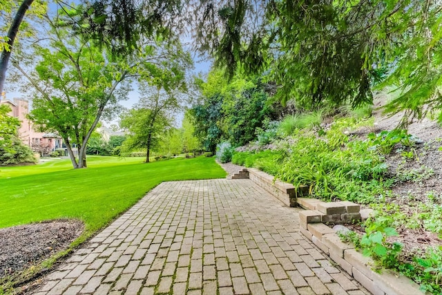 view of property's community with a patio area and a lawn