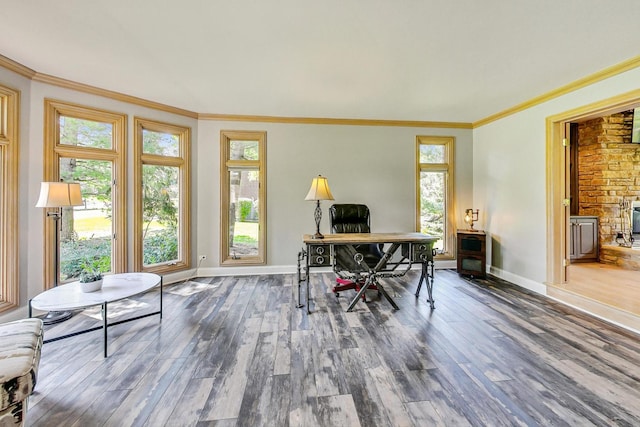 office with crown molding and hardwood / wood-style floors