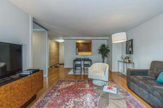 living room with wood-type flooring