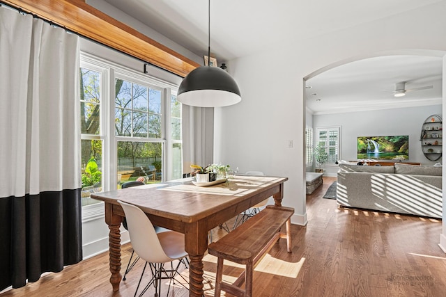 dining area with hardwood / wood-style floors and ceiling fan