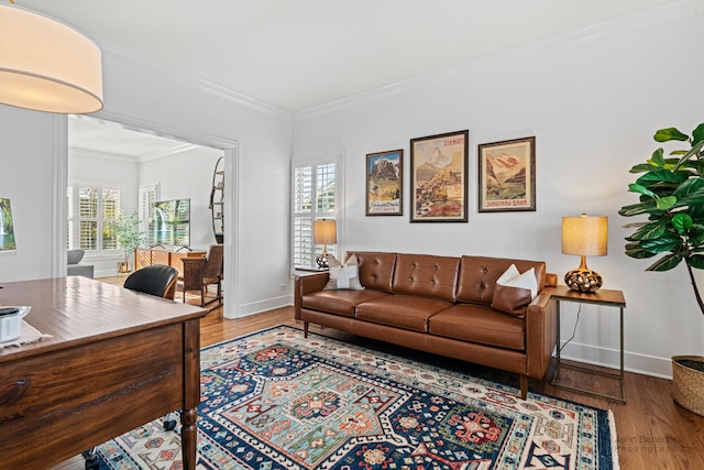 living room with crown molding and wood-type flooring