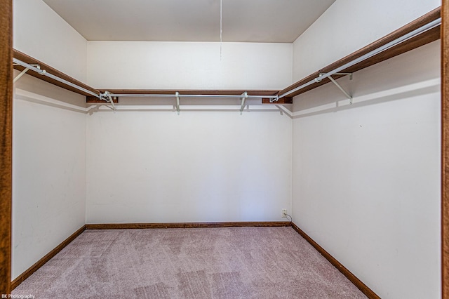 spacious closet featuring light colored carpet