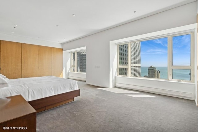 bedroom with carpet floors and a water view