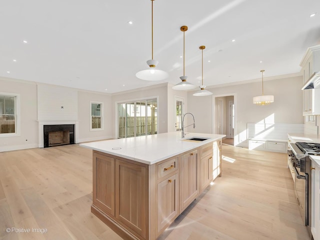 kitchen with sink, crown molding, a spacious island, light hardwood / wood-style floors, and decorative light fixtures