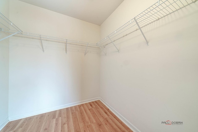 walk in closet featuring hardwood / wood-style floors