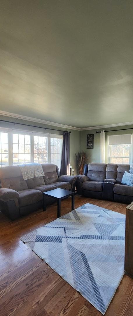 living room with crown molding, a healthy amount of sunlight, and wood-type flooring