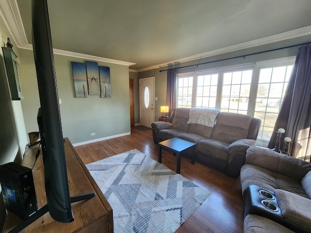 living room with crown molding and dark wood-type flooring