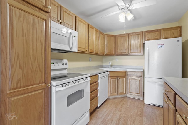 kitchen featuring ceiling fan, sink, white appliances, and light hardwood / wood-style flooring