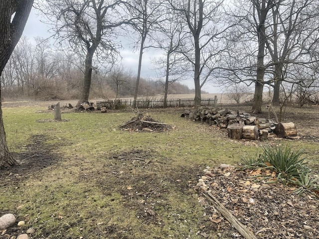 view of yard with a rural view