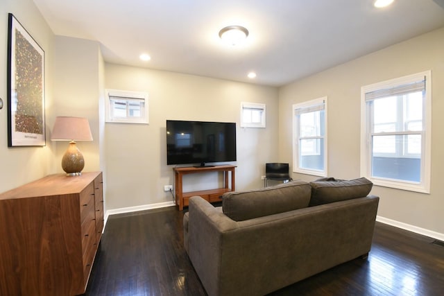 living room featuring dark hardwood / wood-style floors