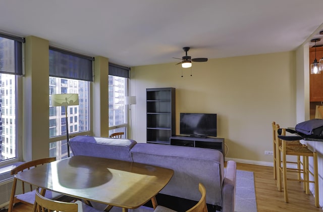 living room featuring ceiling fan, light hardwood / wood-style flooring, radiator, and a healthy amount of sunlight