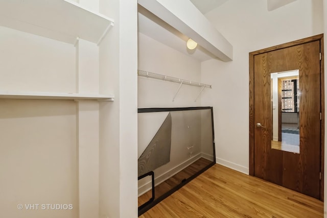 walk in closet featuring wood-type flooring